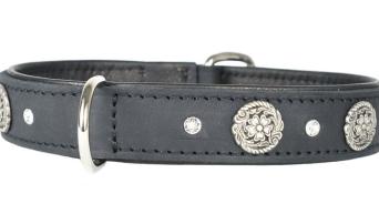 Hundehalsband leder schmuckhalsband 