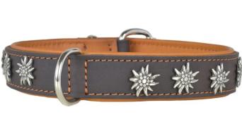 Hundehalsband leder schmuckhalsband 