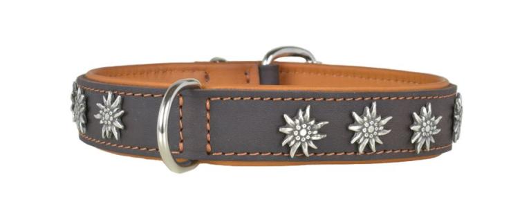 Hundehalsband leder schmuckhalsband 