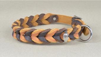2456 Hundehalsband BICOLOR